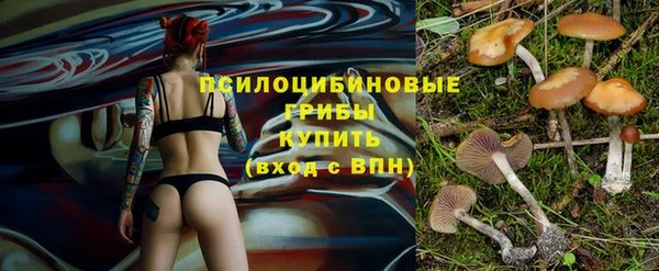 экстази Пересвет
