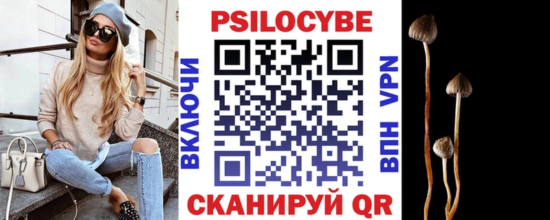Галлюциногенные грибы Cubensis  купить наркотики сайты  Шахунья 