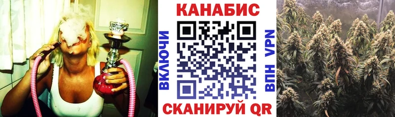 Канабис сатива  Шахунья 